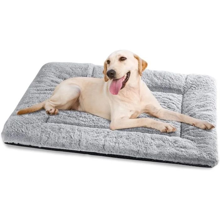 Chien allongé confortablement sur le matelas moelleux Sérénimal