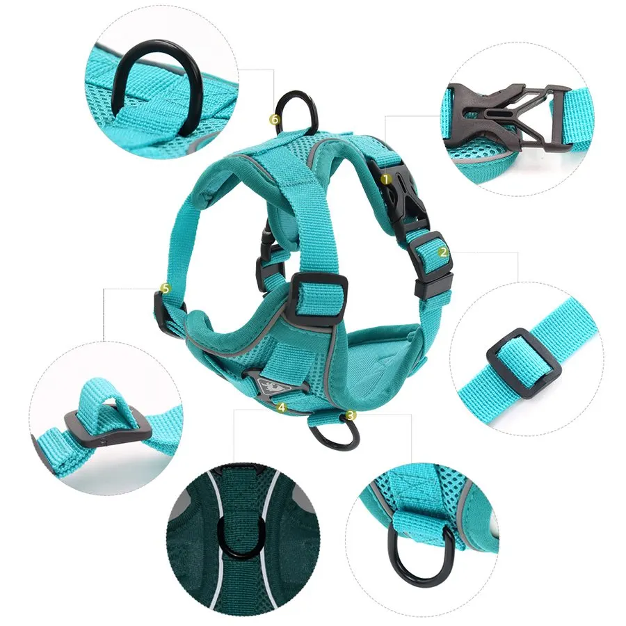 Harnais ajustable en 4 points pour épouser la morphologie du chien