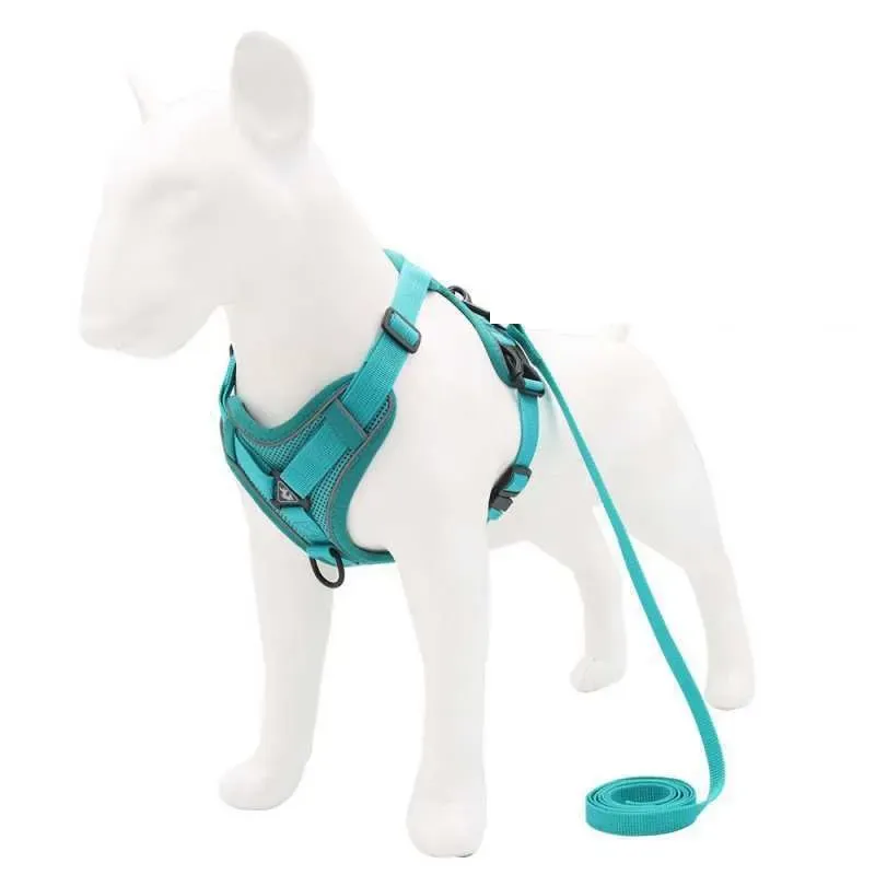 Harnais anti-traction réfléchissant + laisse, coloris vert