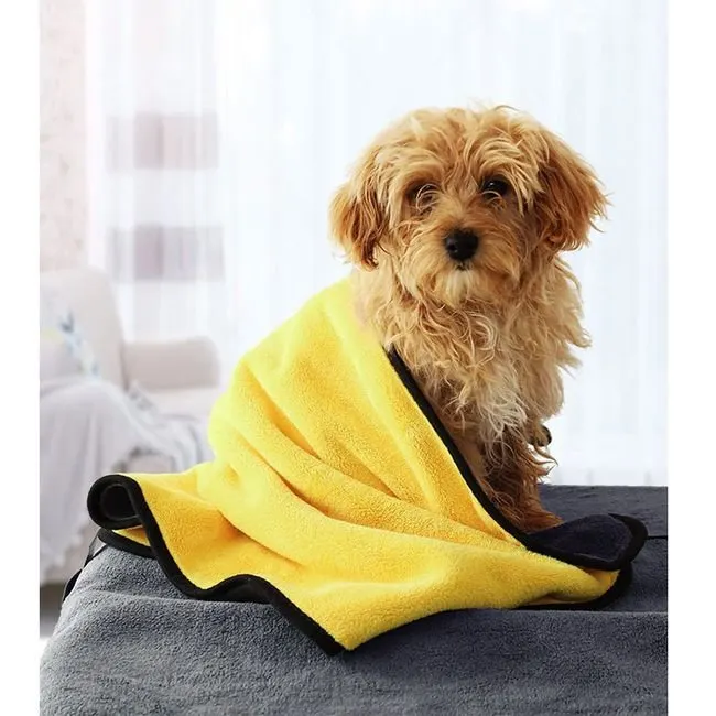 Un chien heureux après le bain