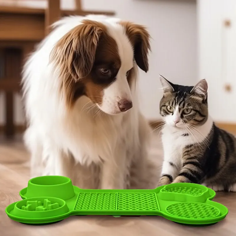 Un chien et un chat détendus à la maison